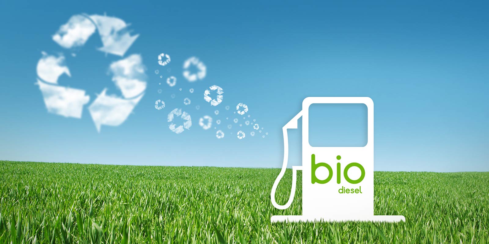 Il Futuro del Biodiesel