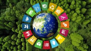 Che cos'è la sostenibilità?